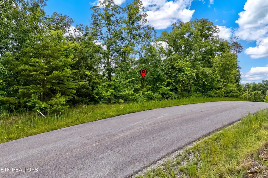 0 Tranquility Tr, Dandridge, TN 37725 - #3