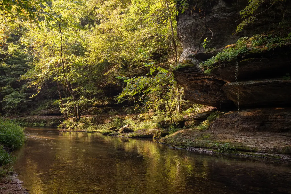 0 Old Mill Creek Rd, Nunnelly, TN 37137 - #1