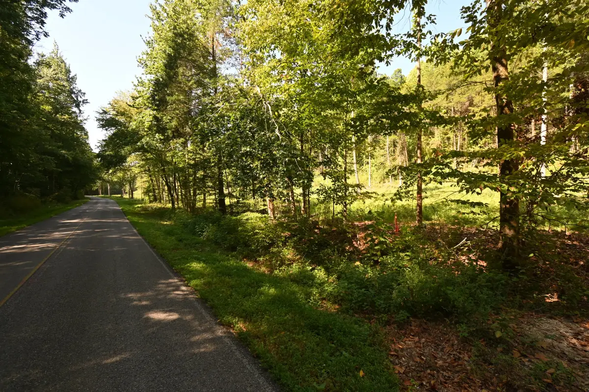 1826 Swindle Creek Rd, Linden, TN 37096 - #1