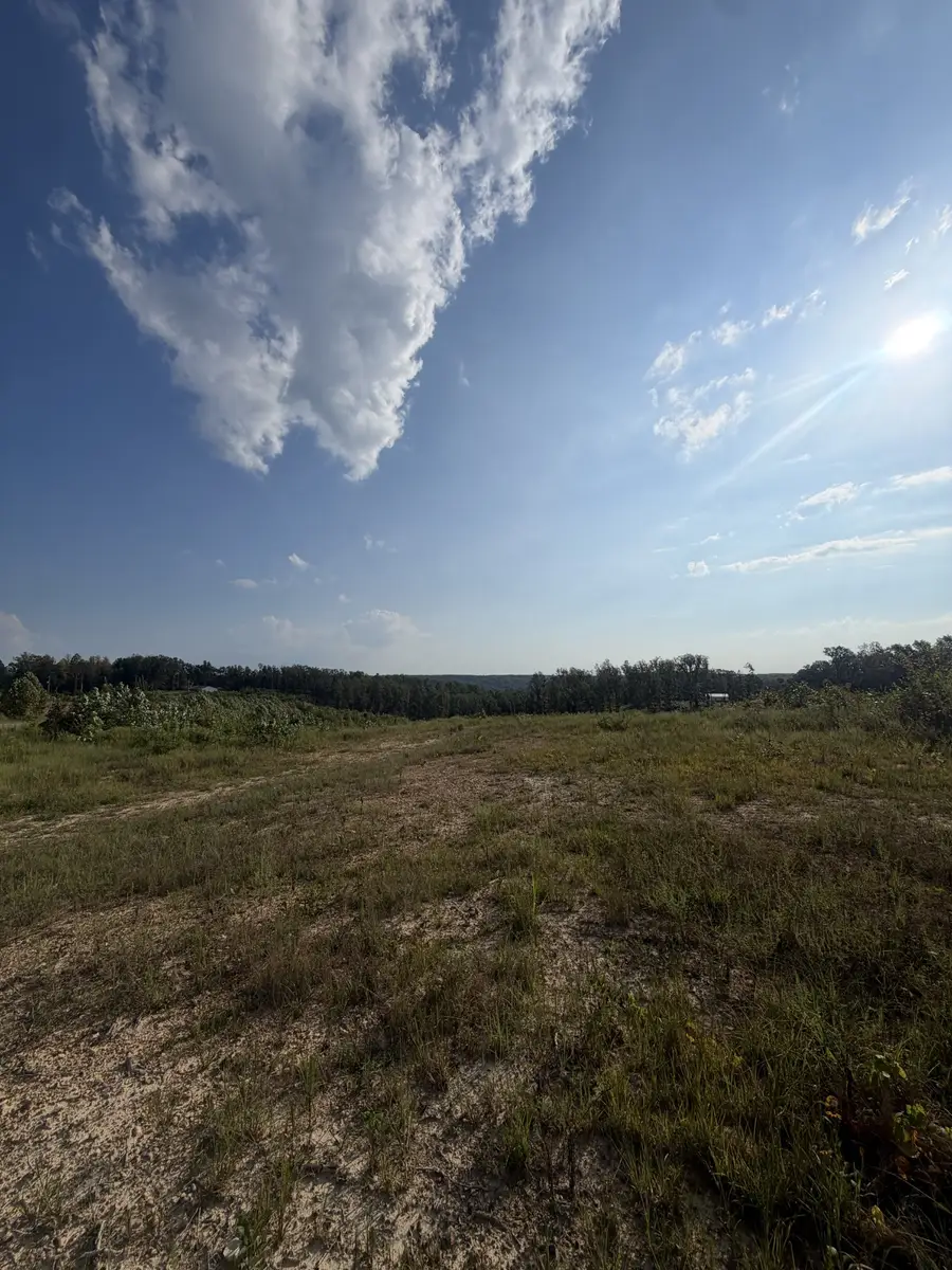 1 Springer Rd, Hohenwald, TN 38462 - #3