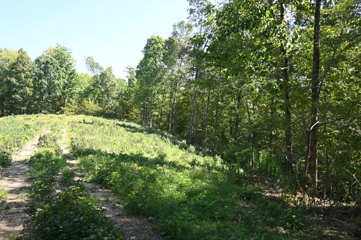 2038 Swindle Creek Rd, Linden, TN 37096 - #1
