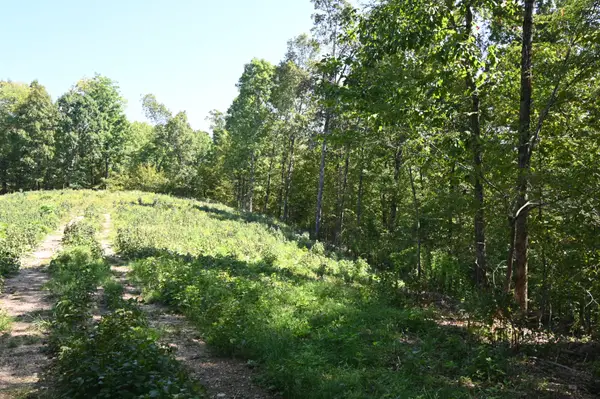 2038 Swindle Creek Rd, Linden, TN 37096
