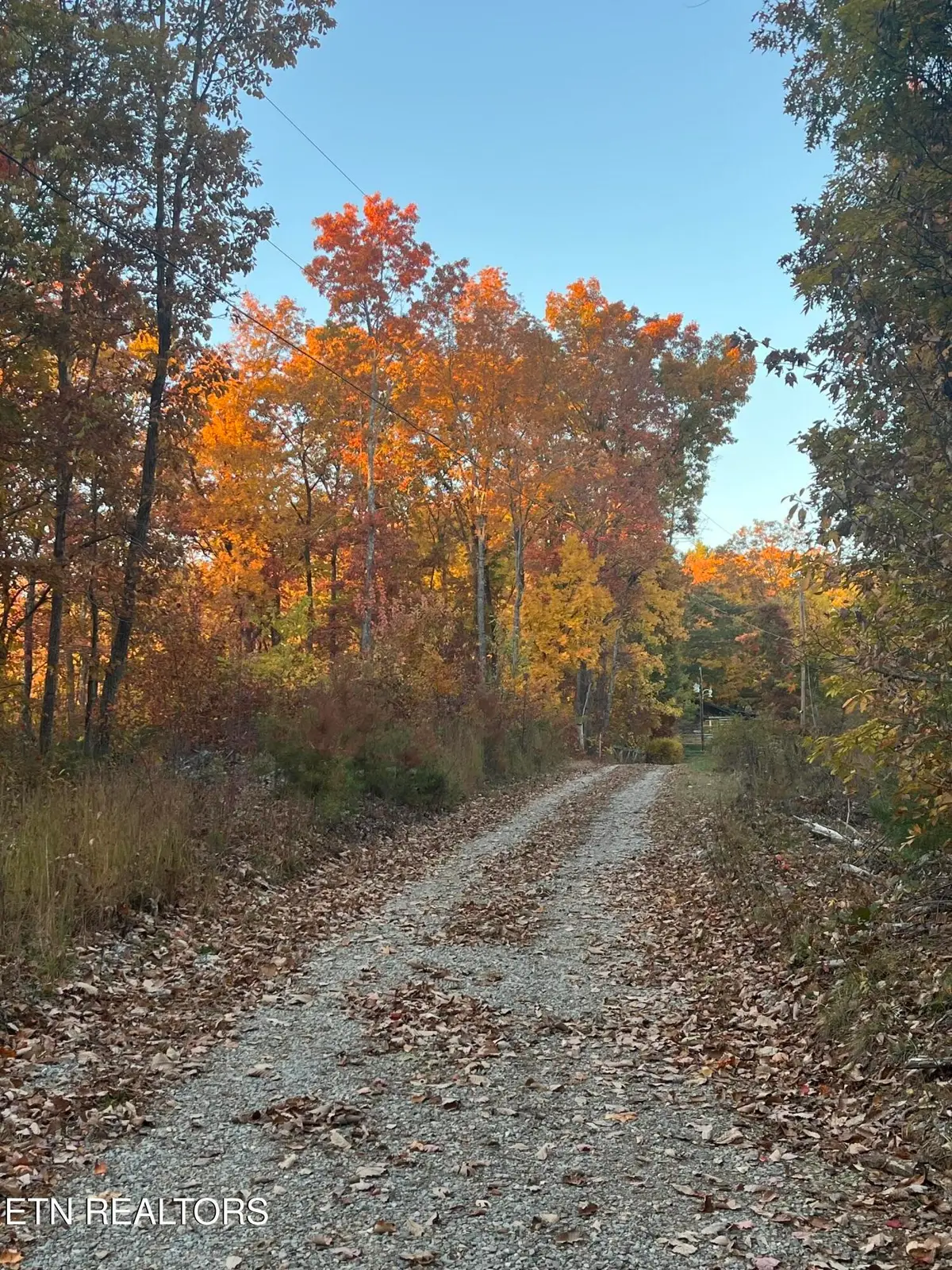 2742 Black Mountain Road, Tellico Plains, TN 37385 - #1