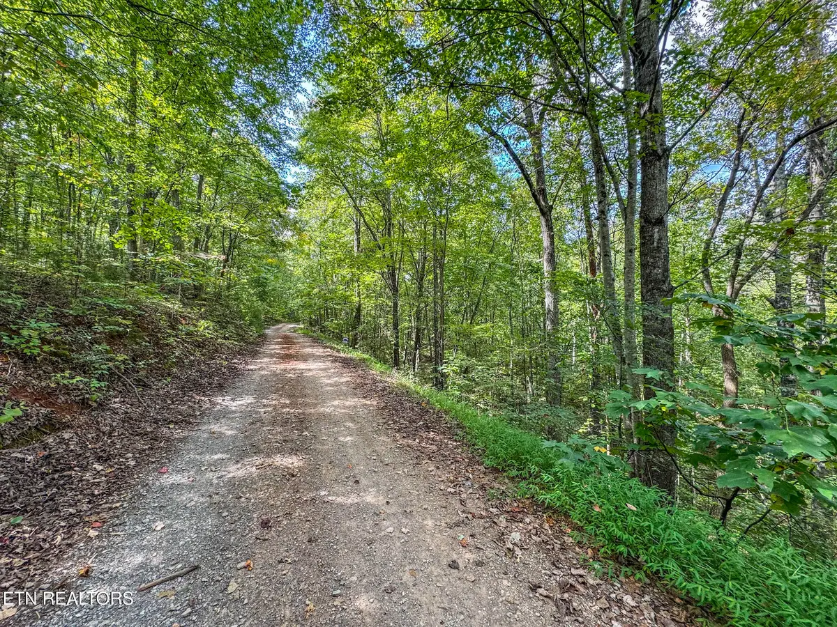 552 New Providence Rd, Tellico Plains, TN 37385 - #1