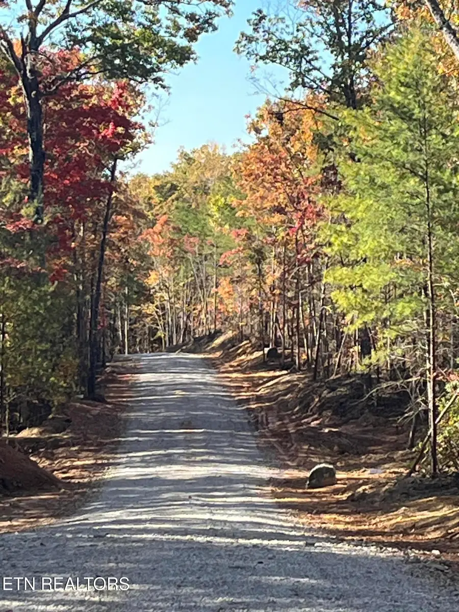 105 Cherokee Path, Tellico Plains, TN 37385 - #2