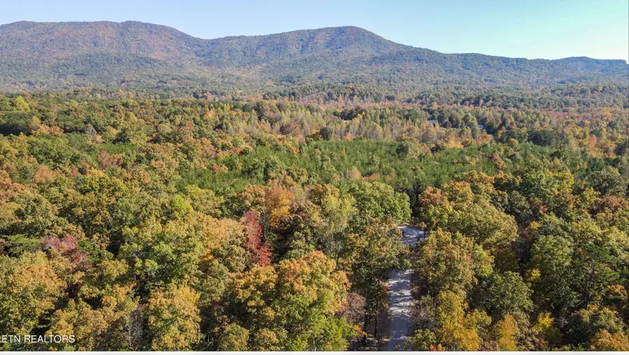 107 Cherokee Path, Tellico Plains, TN 37385 - #3