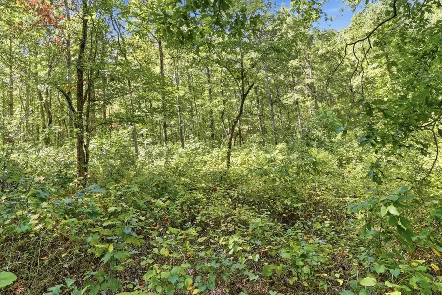 845 Ridgewood Drive, Mc Ewen, TN 37101 - #2