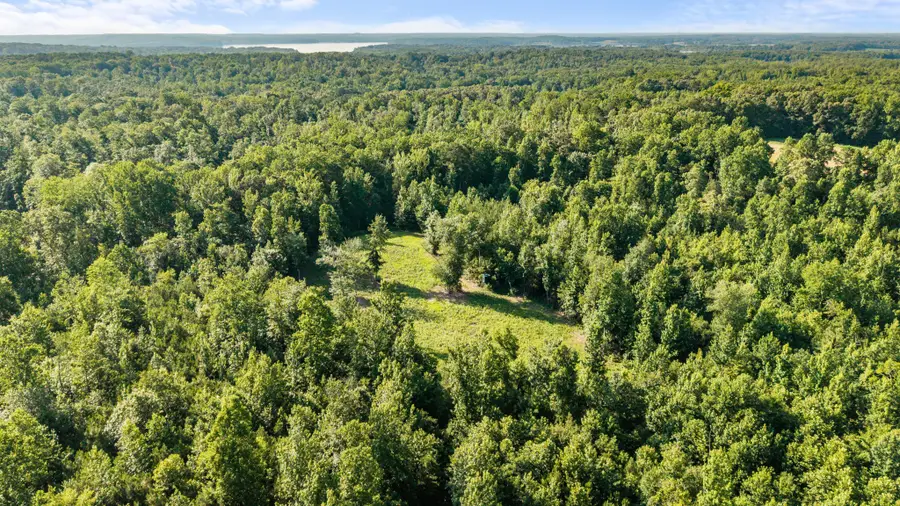 0 Hamilton Rd, Springville, TN 38256 - #3