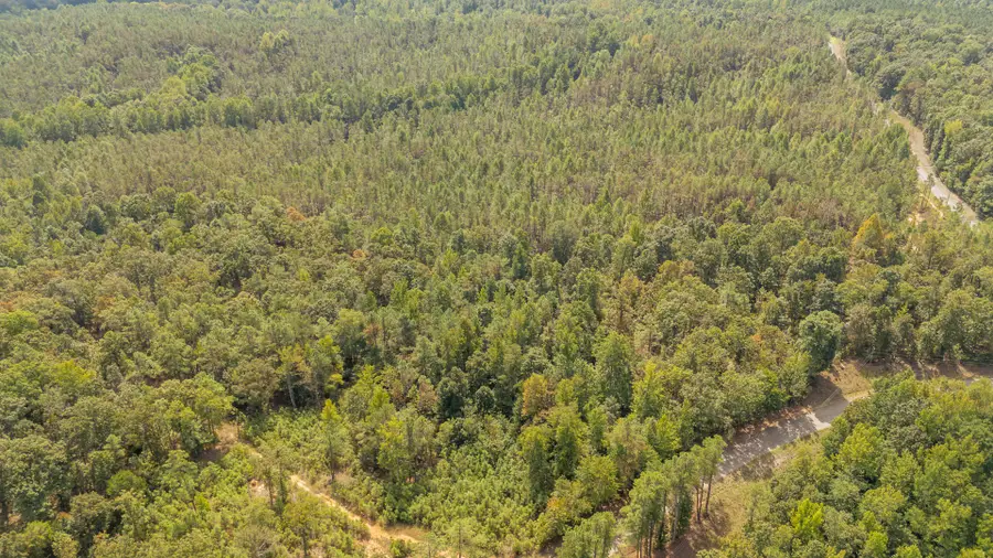 0 Beauty Hill Rd, Adamsville, TN 38310 - #2