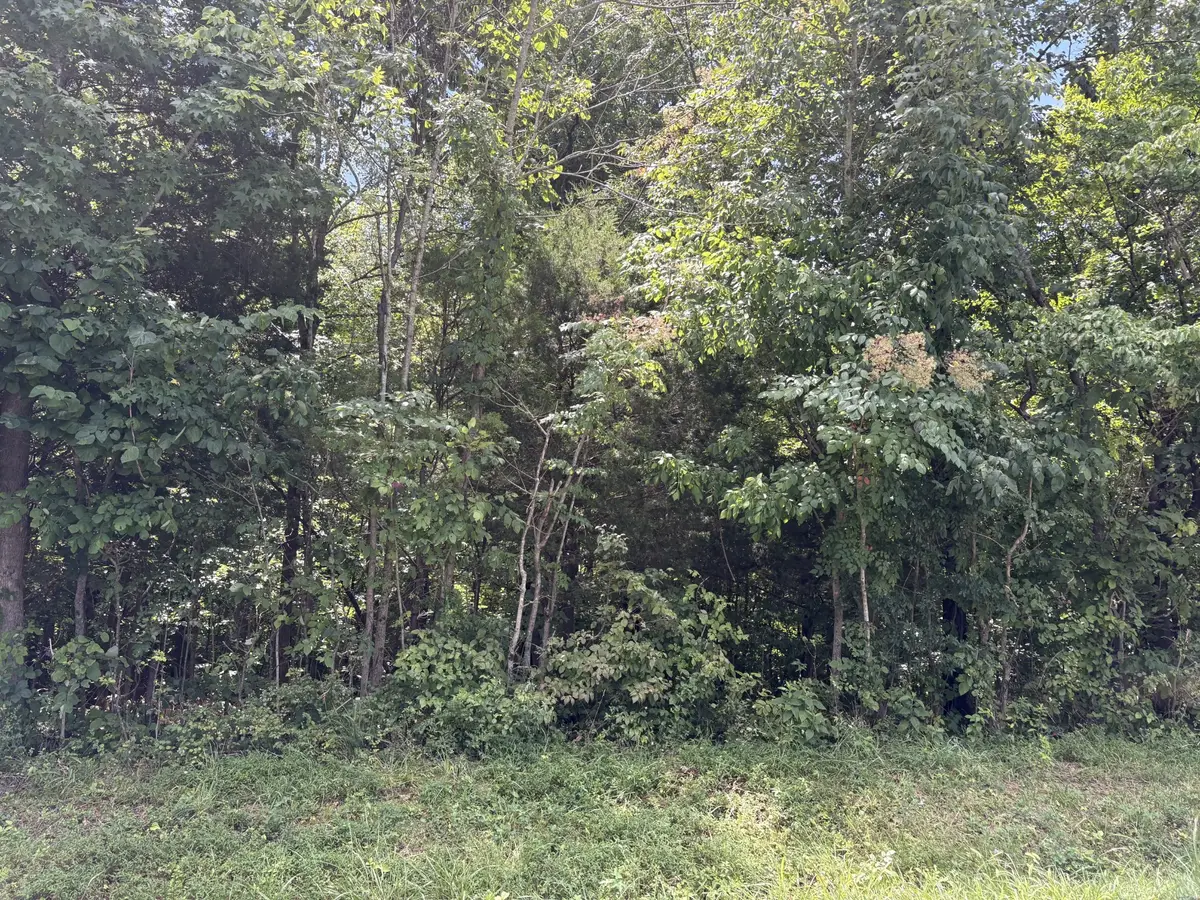 0 Southside Rd, Southside, TN 37171 - #1