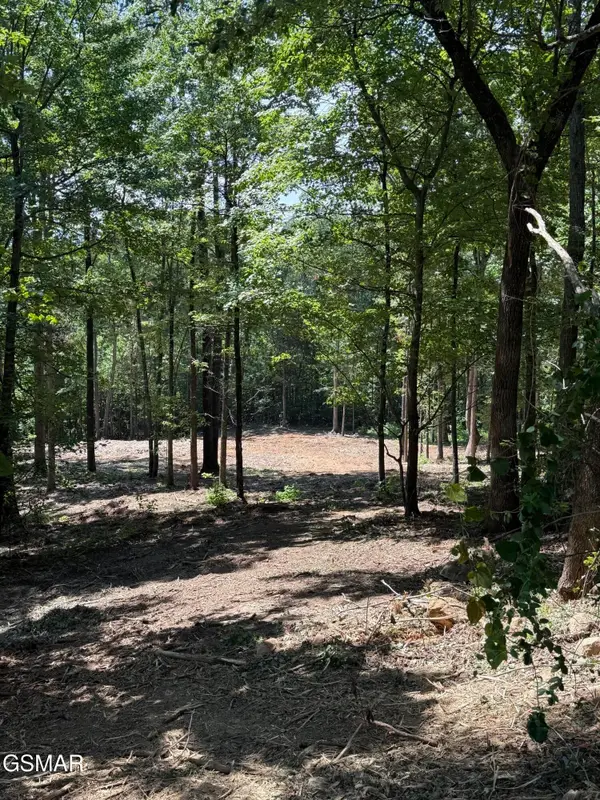 150 Mountaineer Trail, Sevierville, TN 37862
