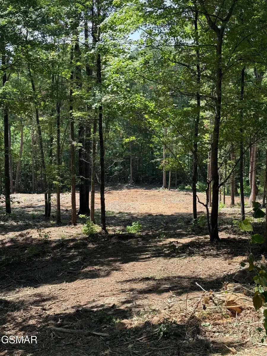 150 Mountaineer Trail, Sevierville, TN 37862 - #2