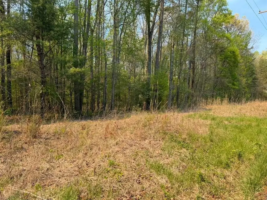 0 Ironsburg Road, Tellico Plains, TN 37385 - #3