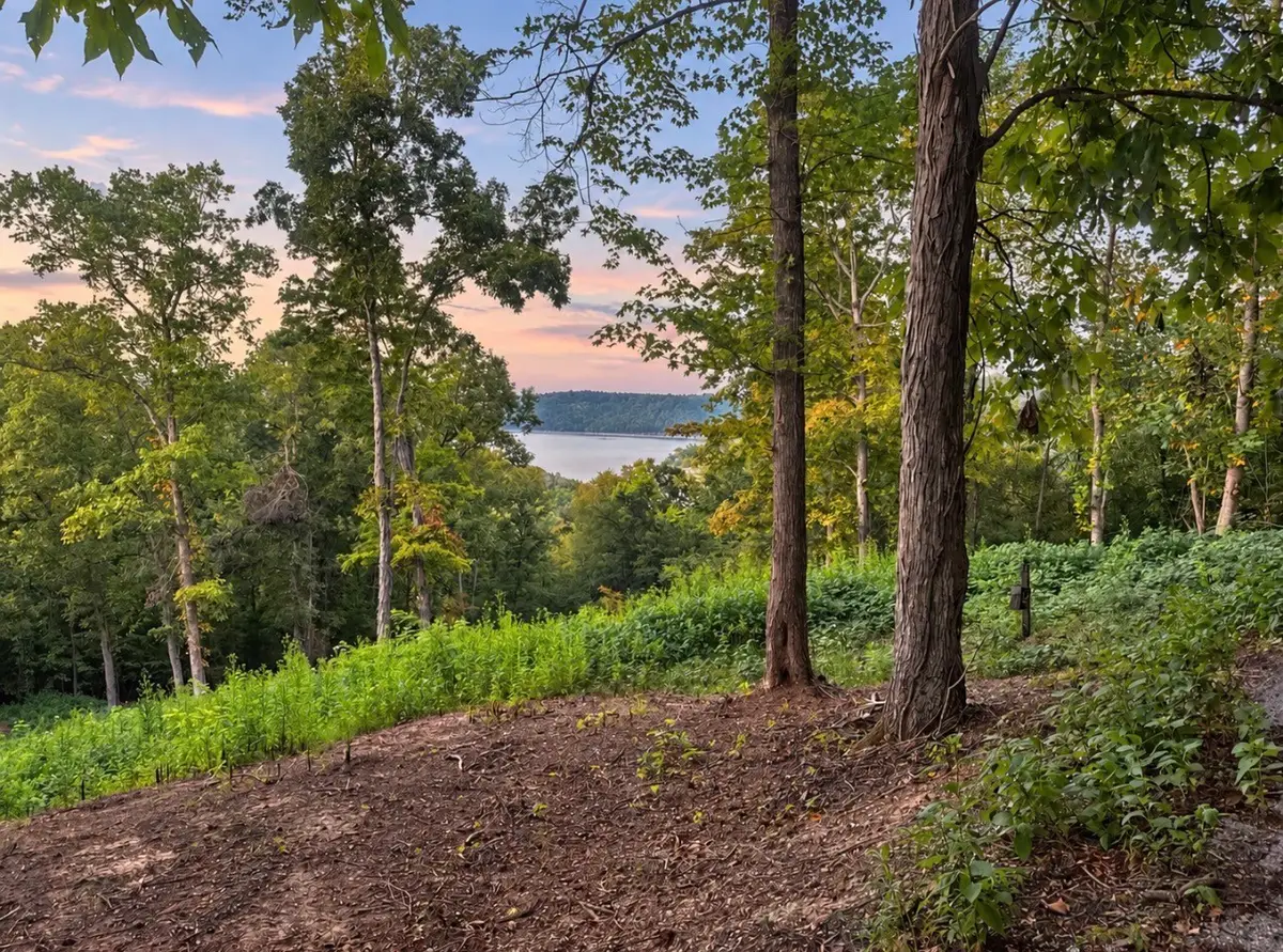 0 Lake Meadow Dr, Smithville, TN 37166 - #1