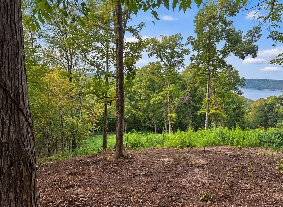 0 Lake Meadow Dr, Smithville, TN 37166 - #2