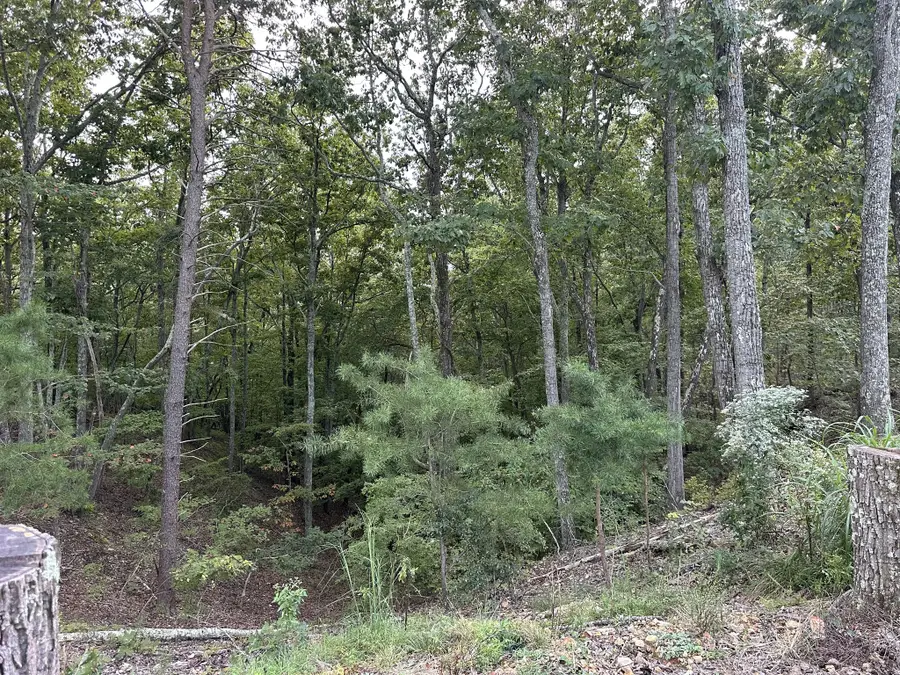 132 Eagle View Dr, Dover, TN 37058 - #3