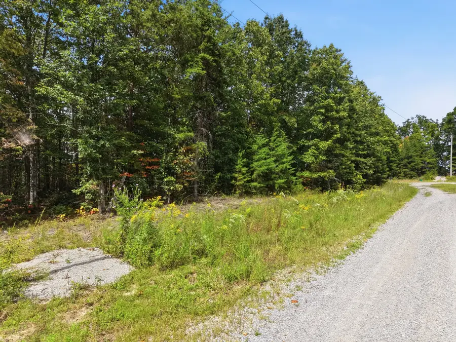 335 Mockingird Ln, Wilder, TN 38589 - #2