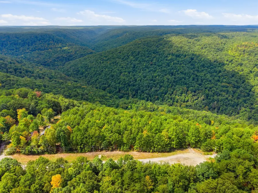 335 Mockingird Ln, Wilder, TN 38589 - #3