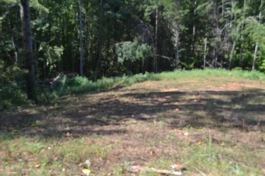 2376 Pea Ridge Fire Town Rd, Celina, TN 38551 - #2