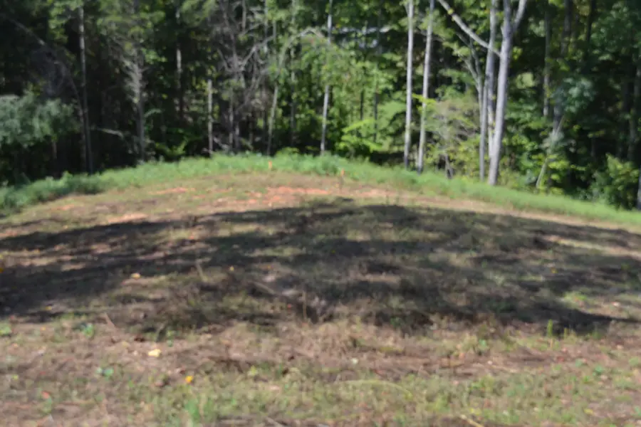 2376 Pea Ridge Fire Town Rd, Celina, TN 38551 - #3