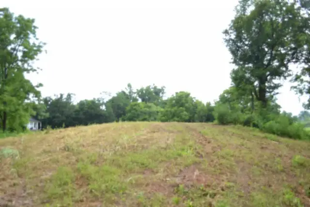 2390 Pea Ridge Fire Town Rd, Celina, TN 38551 - #1