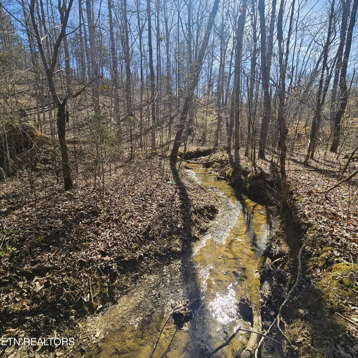 0 Lick Creek Rd, Tellico Plains, TN 37385 - #1