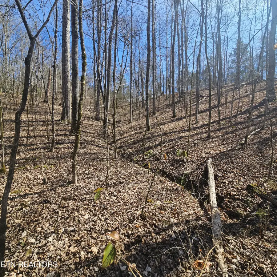 0 Lick Creek Rd, Tellico Plains, TN 37385 - #2