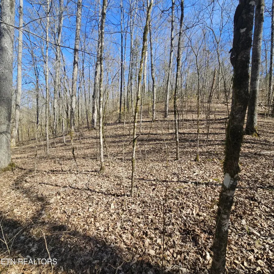 0 Lick Creek Rd, Tellico Plains, TN 37385 - #3
