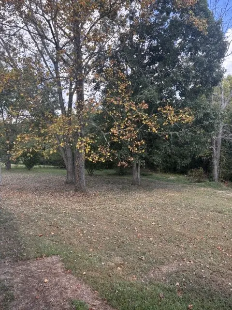 167 Baker Ridge Rd, Waverly, TN 37185 - #3