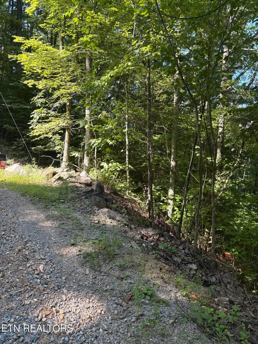 0 Castle Rise Way, Sevierville, TN 37862 - #3