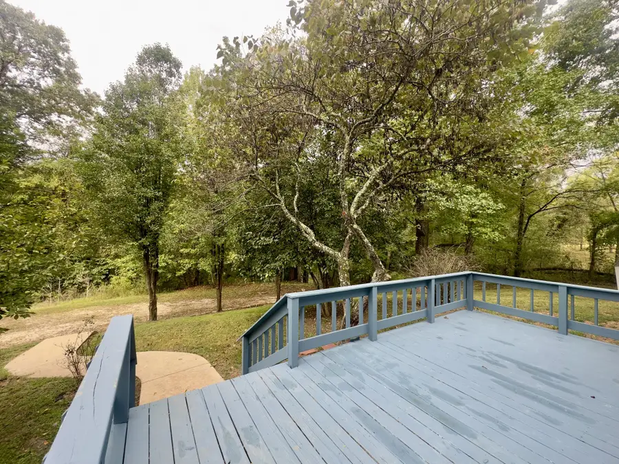 431 Bellwood Landing Rd, Indian Mound, TN 37079 - #3