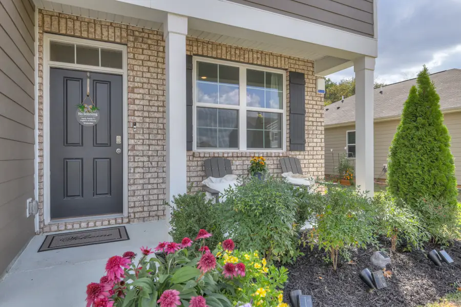 209 Addison Ave, Chapel Hill, TN 37034 - #2