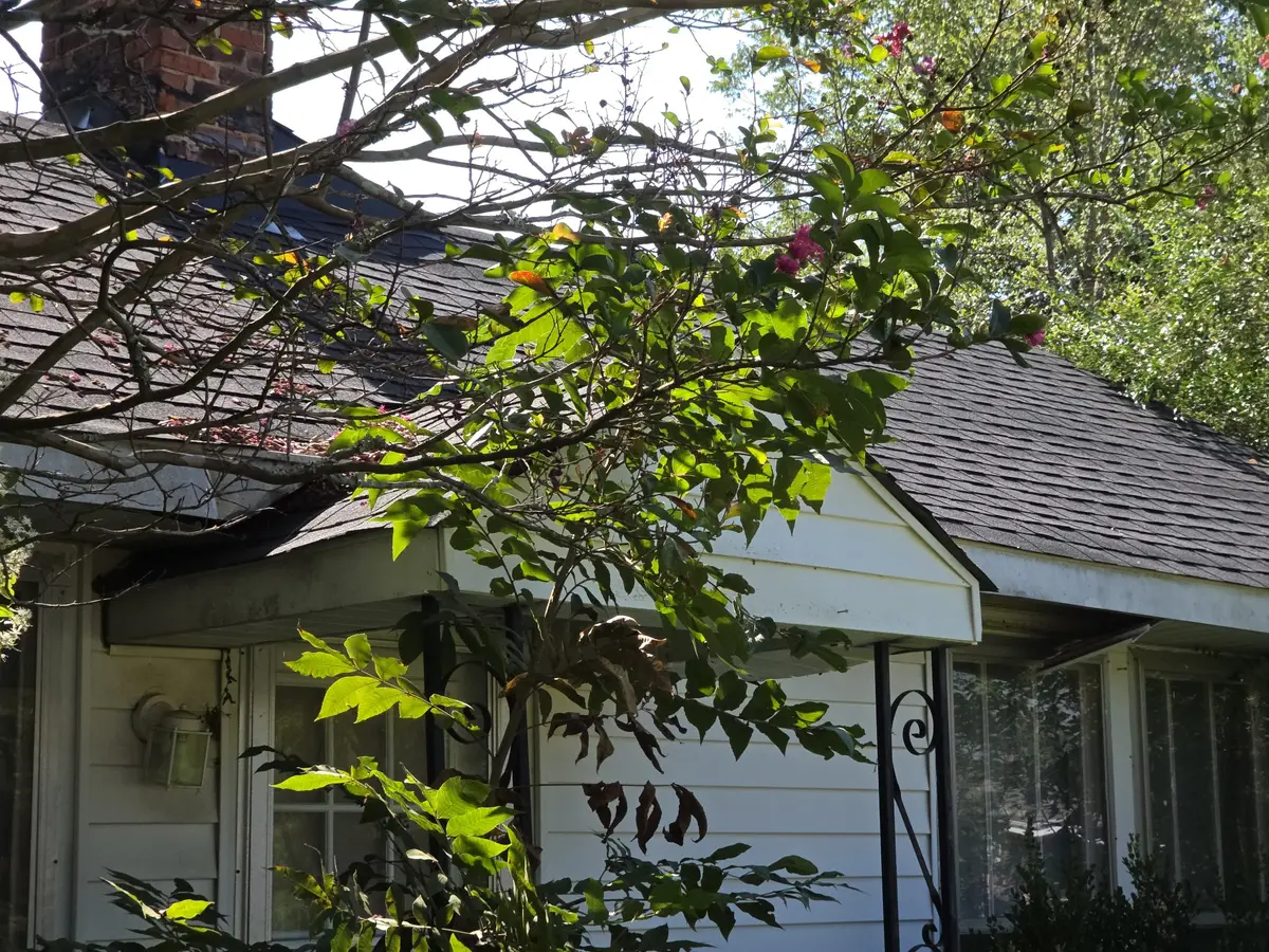 7110 Highway 18 S, Hickory Valley, TN 38042 - #1