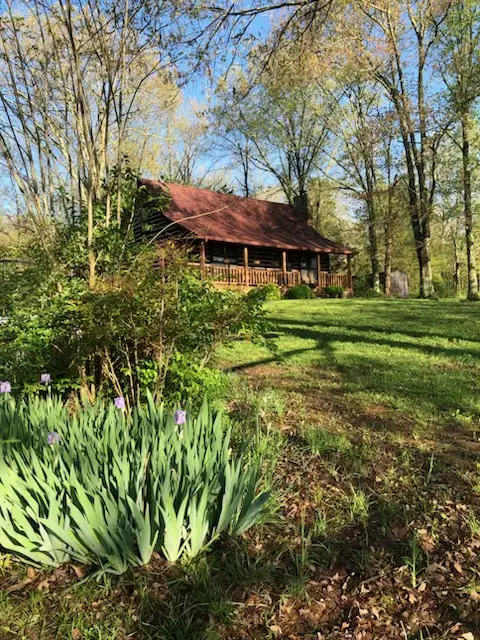 4379 Arno Rd, Franklin, TN 37064 - #1