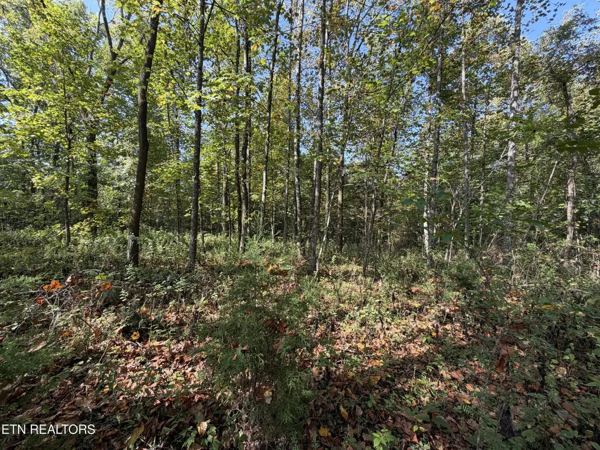 2235 Moore Knob Rd, Allardt, TN 38504 - #1