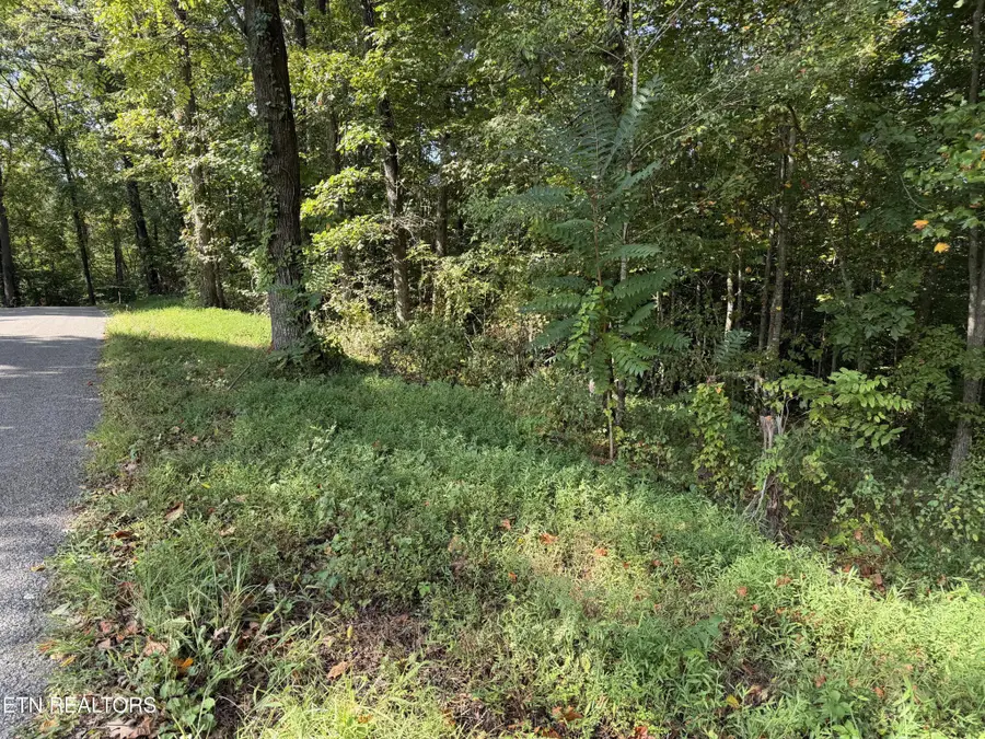 2235 Moore Knob Rd, Allardt, TN 38504 - #2