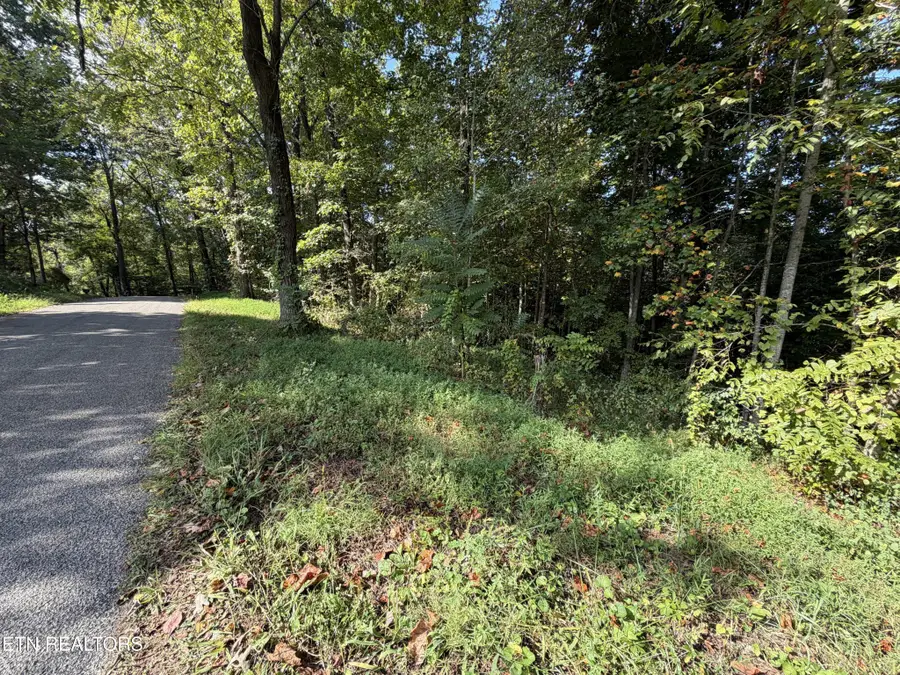 2235 Moore Knob Rd, Allardt, TN 38504 - #3