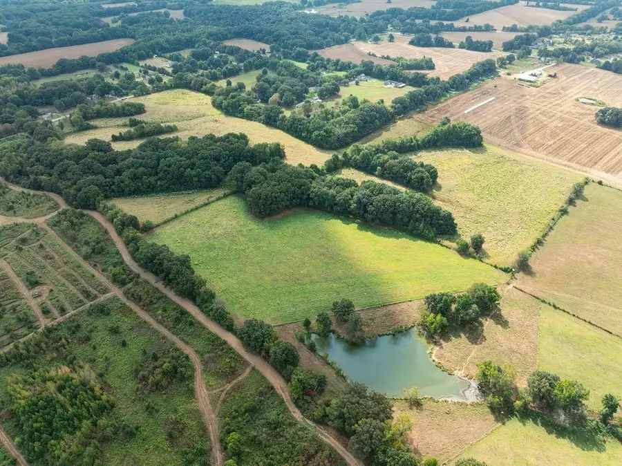 17615 Hwy 194, Somerville, TN 38068 - #3