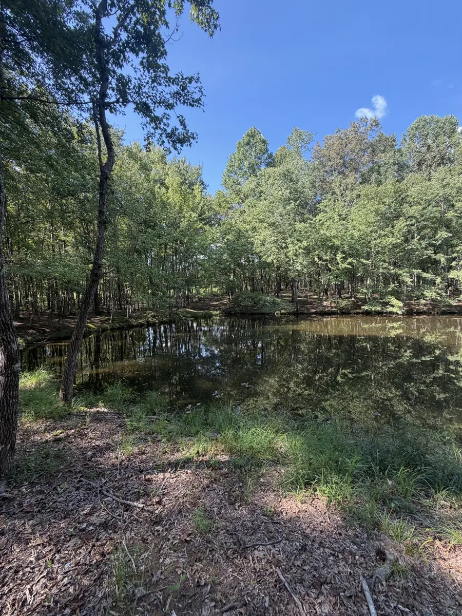 0 Lakewood Park Dr, Beechgrove, TN 37018 - #3