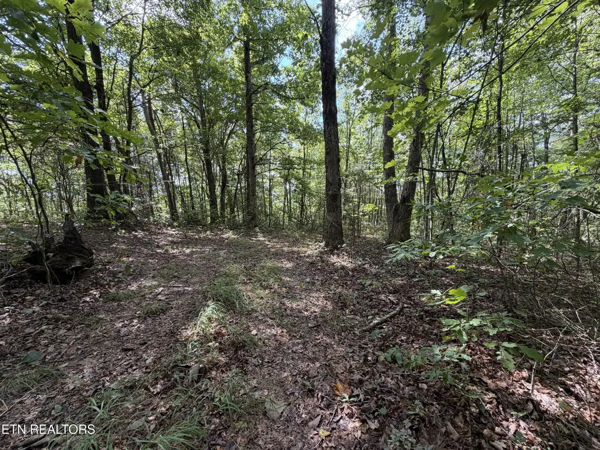 361 Long View Lane, Jamestown, TN 38556 - #1