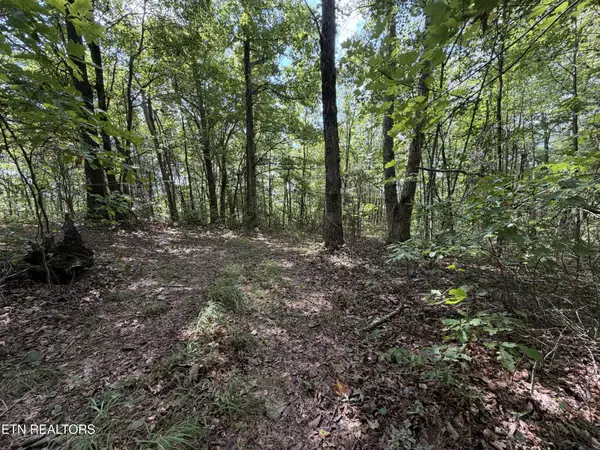361 Long View Lane, Jamestown, TN 38556
