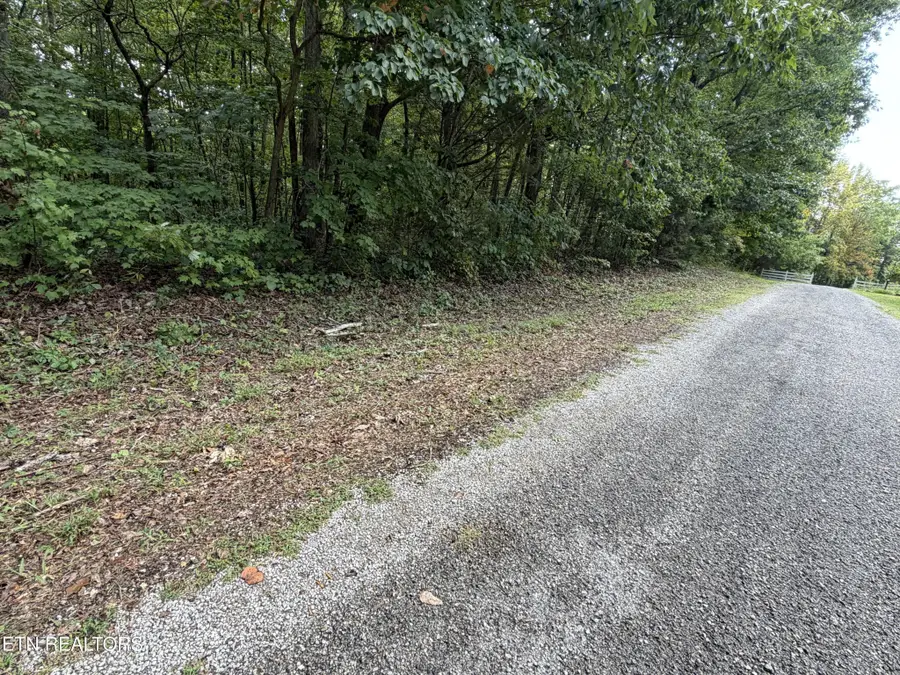 361 Long View Lane, Jamestown, TN 38556 - #2