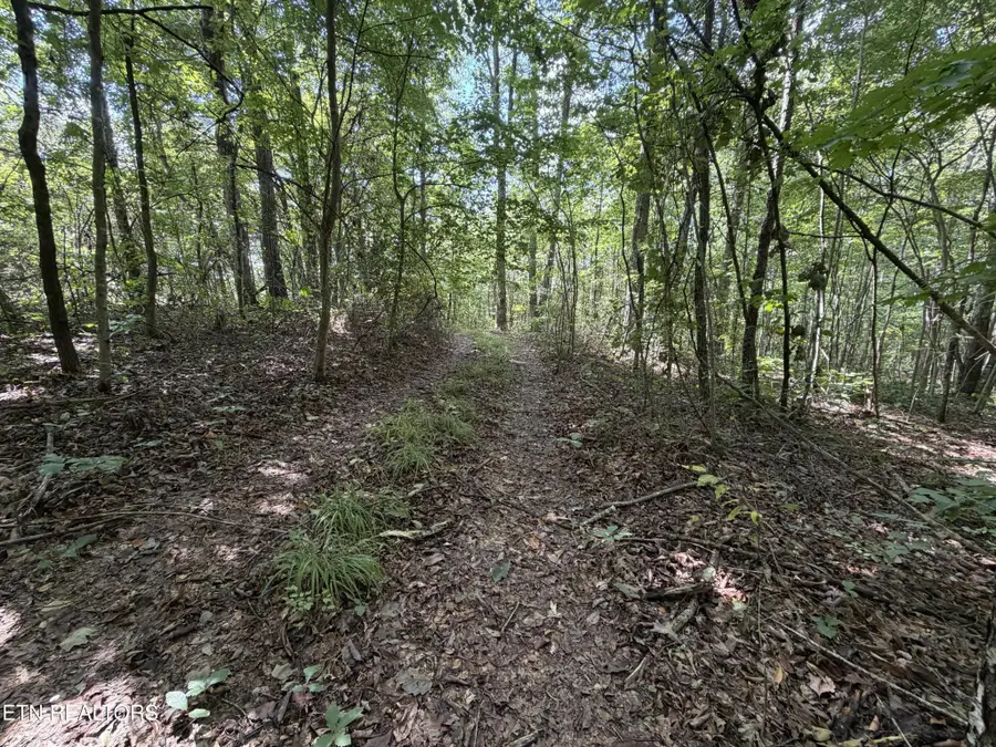 361 Long View Lane, Jamestown, TN 38556 - #3