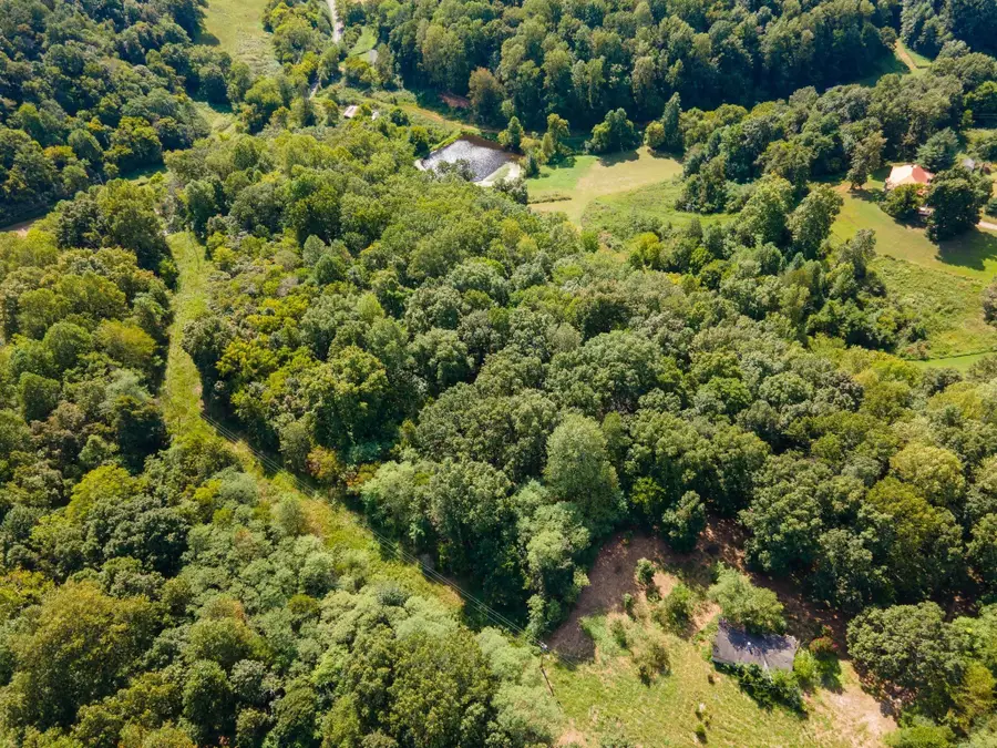 2311 Blue Branch Rd, Lynnville, TN 38472 - #3