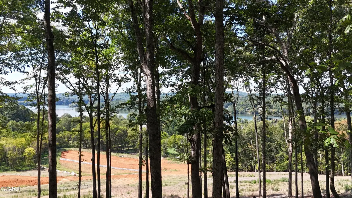 137 Eagles Crest Court, Loudon, TN 37774 - #1