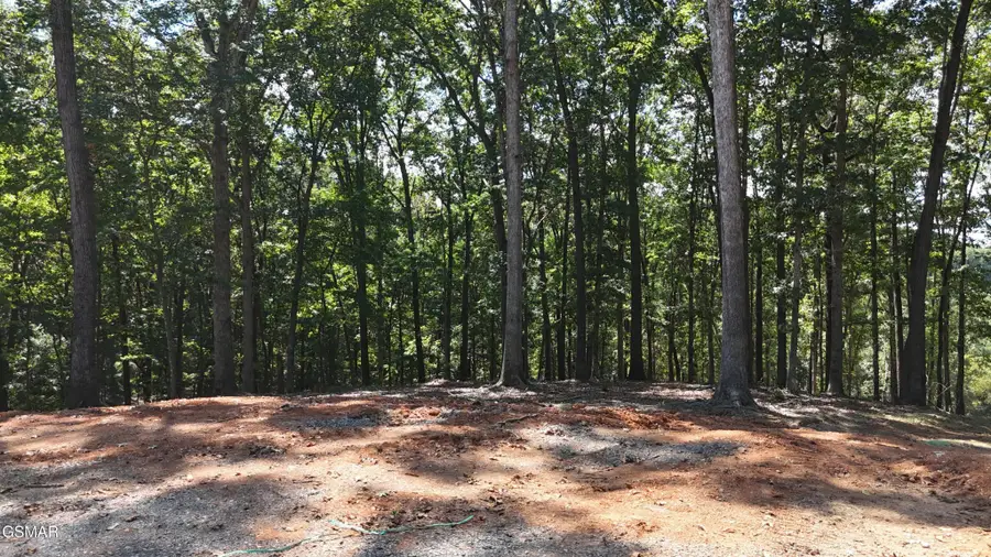 137 Eagles Crest Court, Loudon, TN 37774 - #2