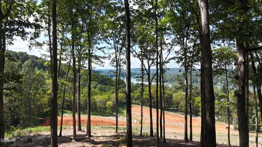137 Eagles Crest Court, Loudon, TN 37774 - #3