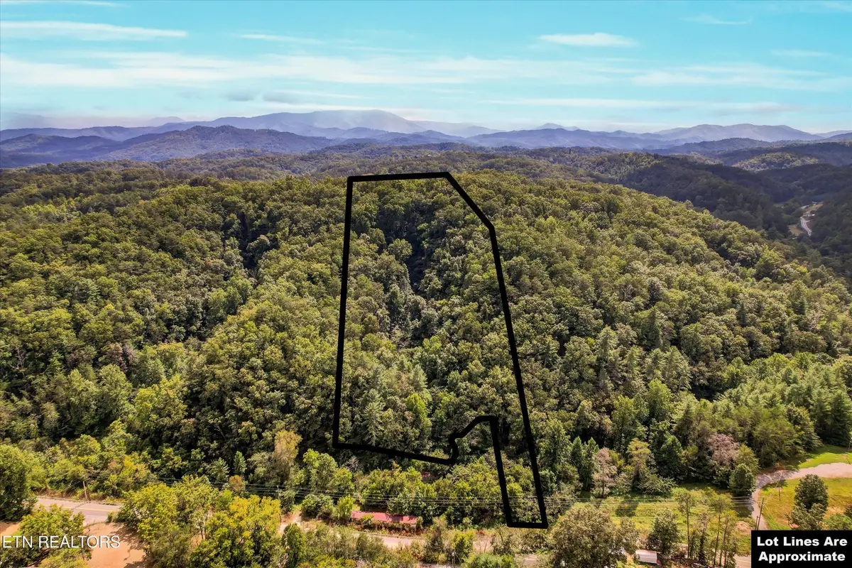 1316 River Divide Rd, Sevierville, TN 37862 - #1
