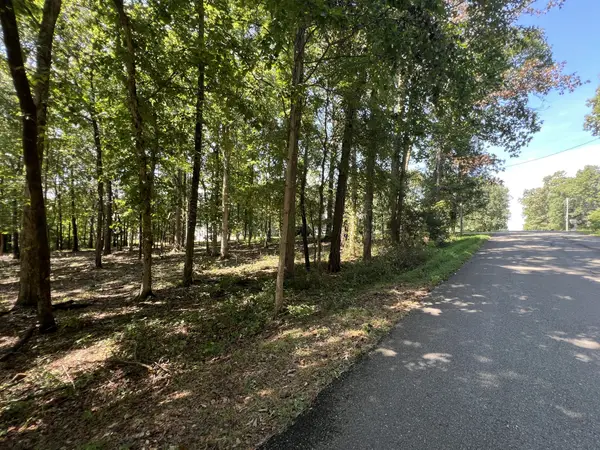 0 Forrest Dr, Paris, TN 38242
