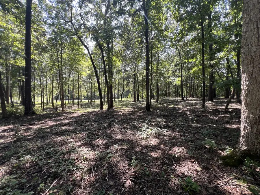0 Forrest Dr, Paris, TN 38242 - #3